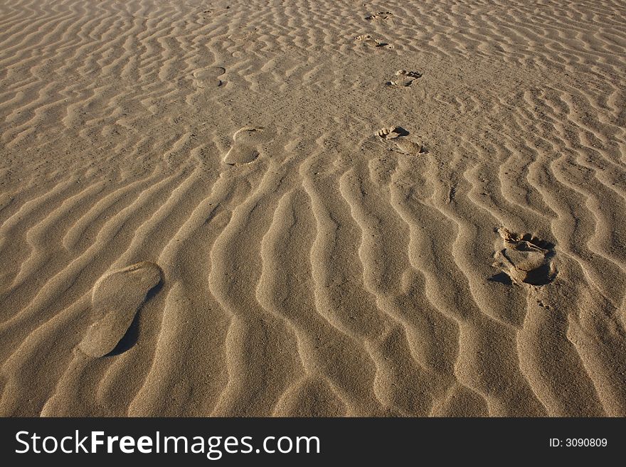 Child and adult footprints on the sand