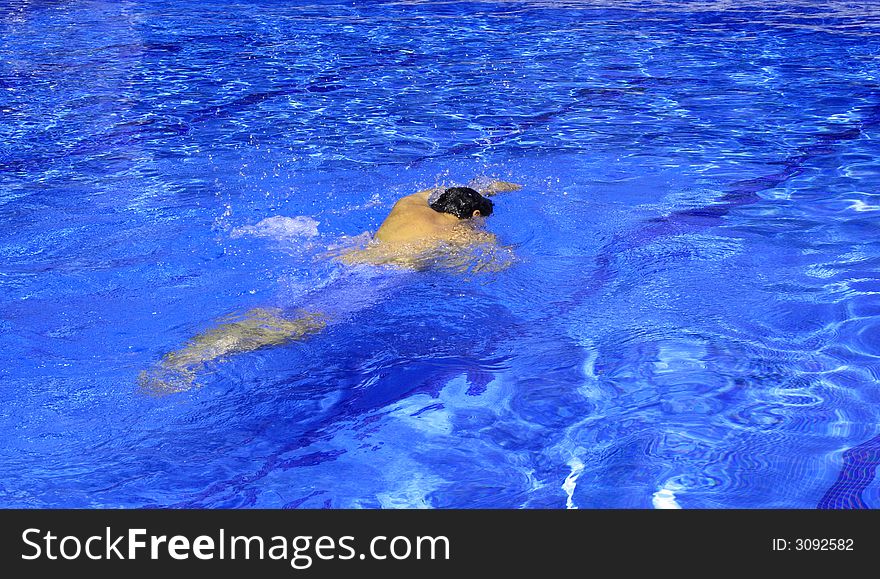 Trendy swimming in the resort