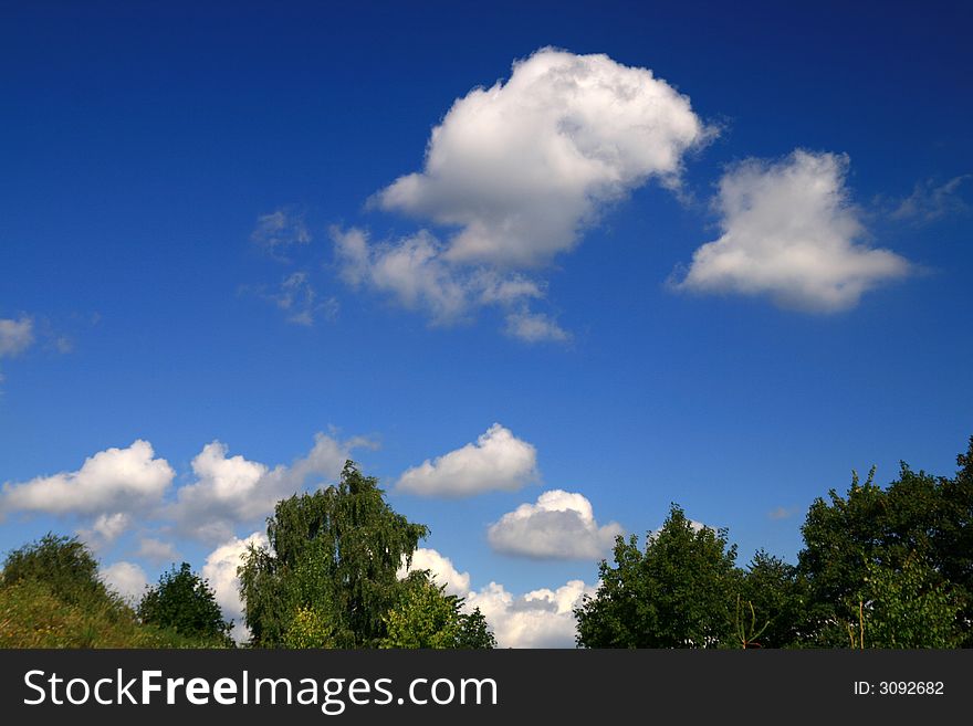 Landscape - forest and cloudly sky, beauty place, rest time