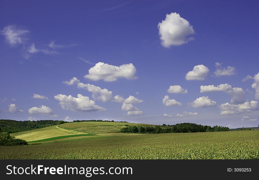 Summer landsape with a lot of clouds. Summer landsape with a lot of clouds