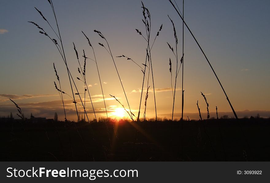 Sunset over field in Cornwall. Sunset over field in Cornwall