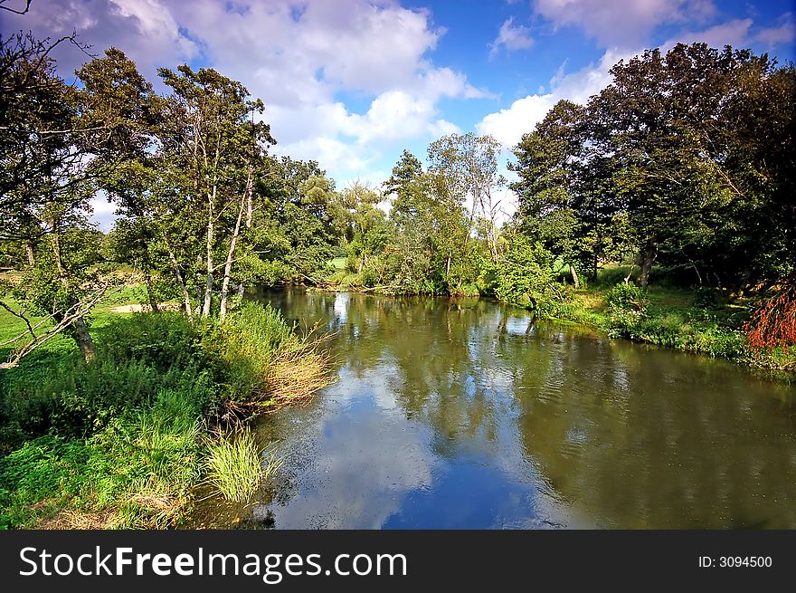 Summer landscape. River and trees