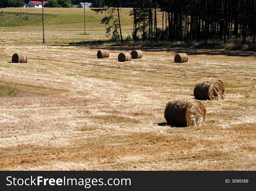 Hay field in summer somewhere in Polish village. Hay field in summer somewhere in Polish village