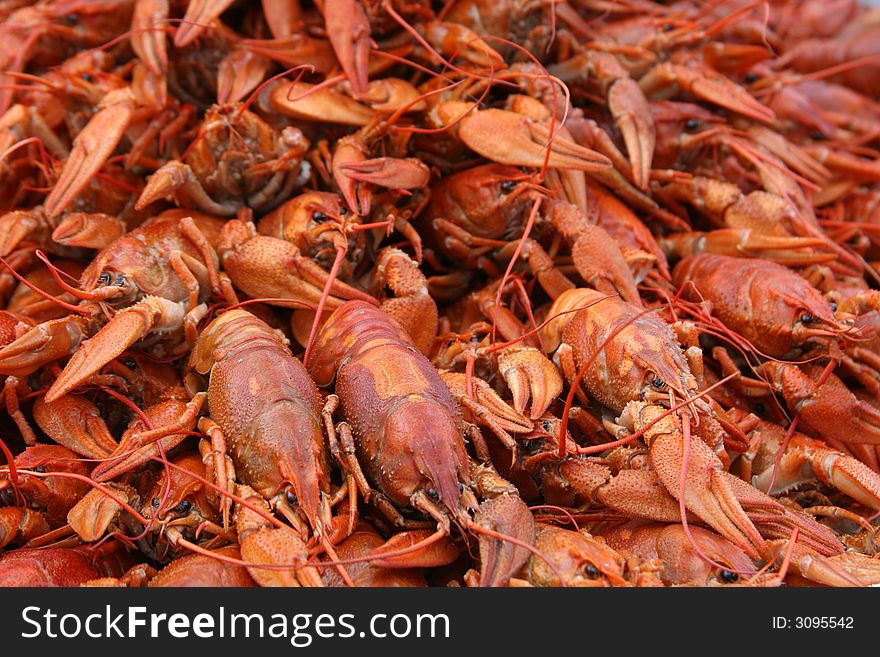 Fine boiled crayfishes