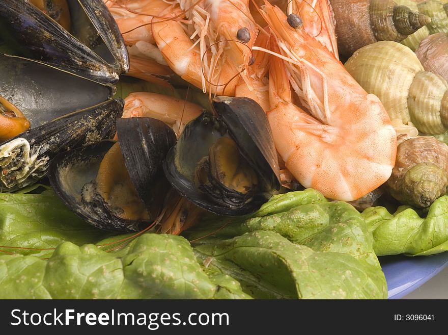 Fresh and delicious seafood meal: mussels, shrimps, seashells ( whelks)