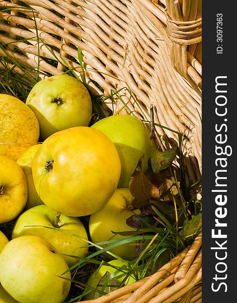 Closeup on a pile of fresh apples in a basket