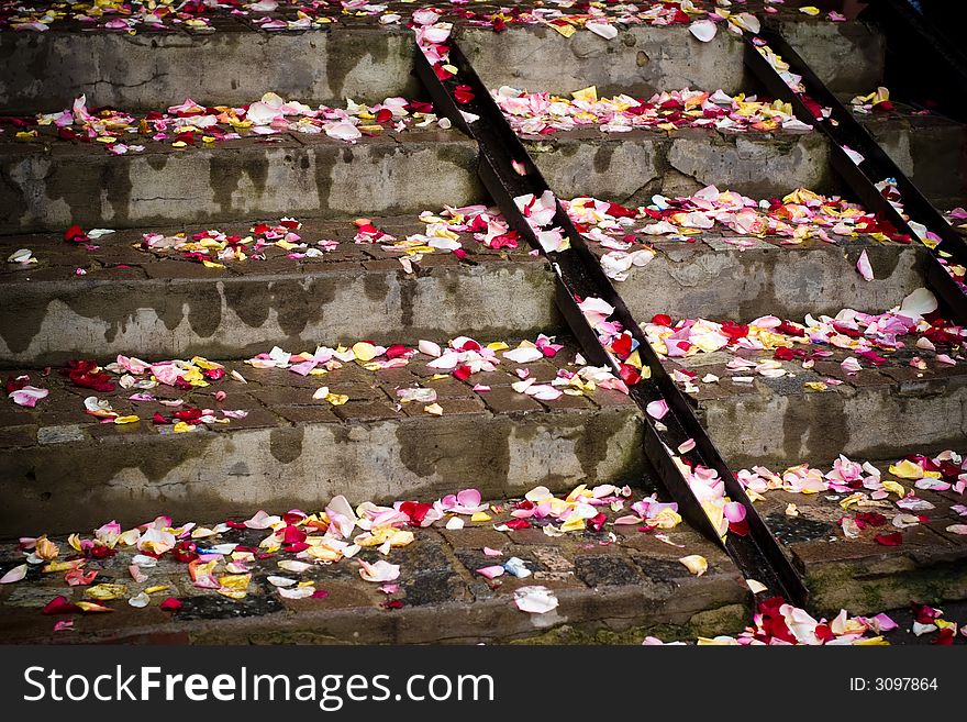 Wedding rose-petals on old stairs. Wedding rose-petals on old stairs