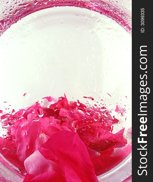 Abstract compozition: backgroud with roses petals