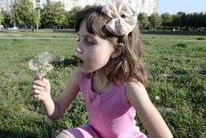 Girl With Dandelion Royalty Free Stock Images