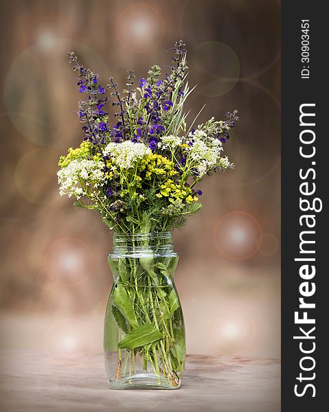 Colorful bouquet of beautiful Spring flowers. Colorful bouquet of beautiful Spring flowers