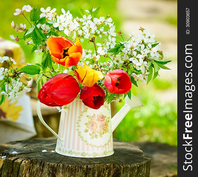 Vintage style watering can with tulips and apricot tree blooming branches. Vintage style watering can with tulips and apricot tree blooming branches