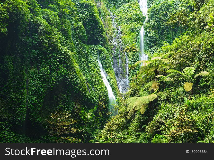 Madakaripura Waterfall â€“ Deep Forest Waterfall in East Java, Indonesia