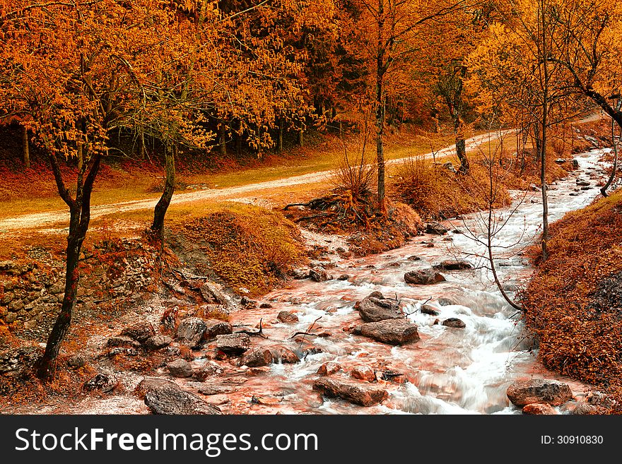 A river that runs along a narrow street in the middle of a grove in autumn. A river that runs along a narrow street in the middle of a grove in autumn.