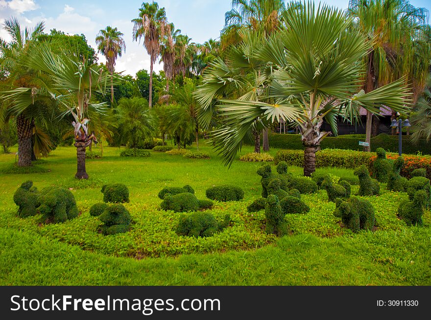 Exotic botanical garden in the North of Thailand