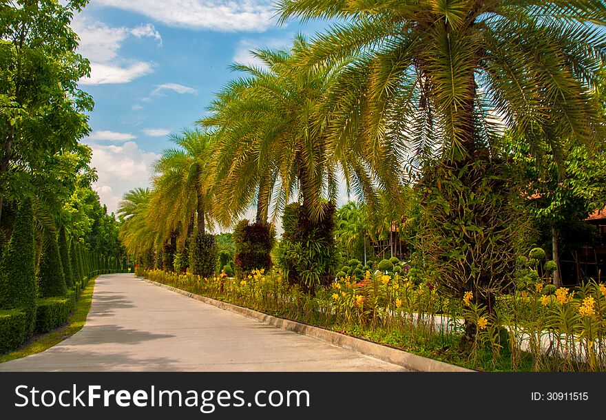 Exotic botanical garden in the North of Thailand