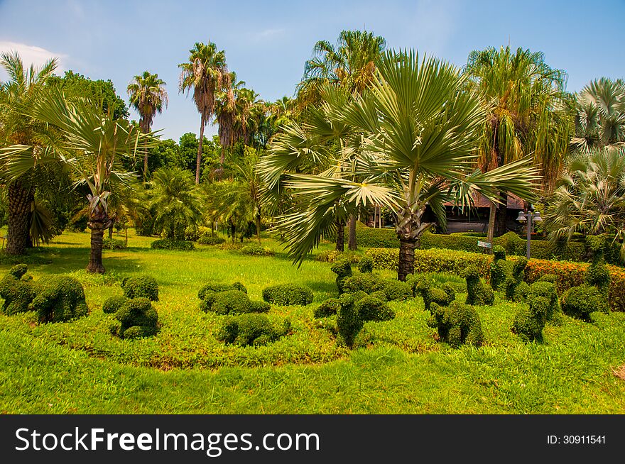 Exotic botanical garden in the North of Thailand