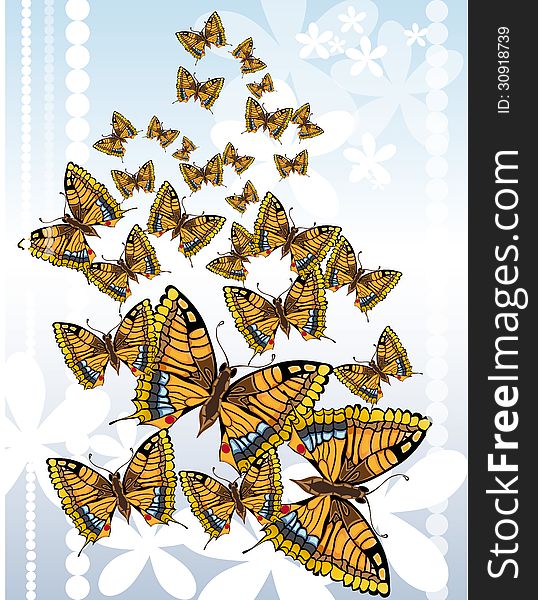 Vector graphic image with flying butterflies