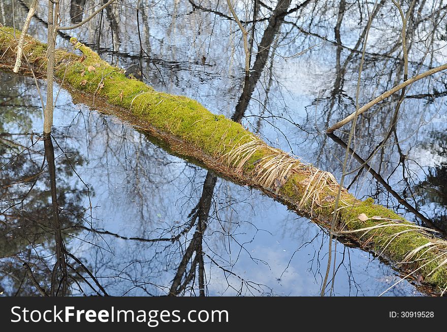 Spring River Landscape.