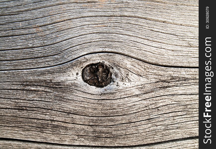 Eye on a dead spruce trunk without bark. Eye on a dead spruce trunk without bark