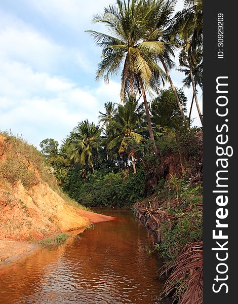 Landscape with palm tree and red river between rocks and jungle Ham Tien canyon Mui ne, Vietnam. Landscape with palm tree and red river between rocks and jungle Ham Tien canyon Mui ne, Vietnam