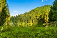 Forest Reflection On The Lake On The Background Of Mountains Royalty Free Stock Photo