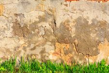 Grass Infront Of Scratched And Cracked Wall Royalty Free Stock Photos Grass Infront Of Scratched And Cracked Wall Royalty Free Stock Photos