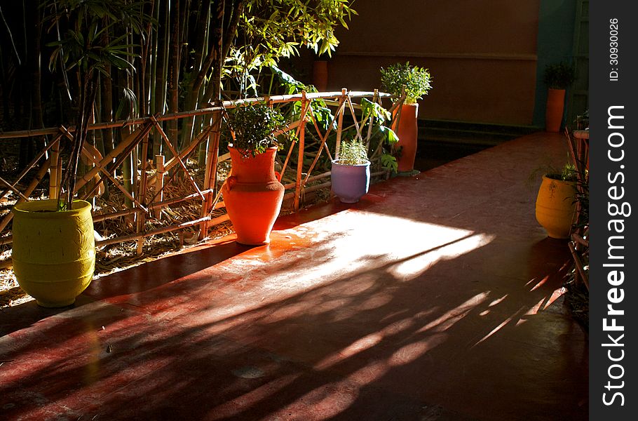 Morroco Marakesh Jardin Majorelle picture