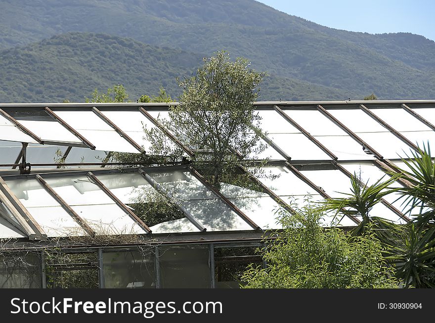 Abandoned Greenhouse