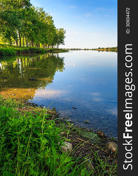 Shore of the lake near the green deciduous forest in summer