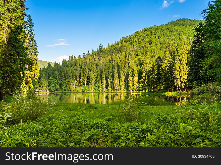 Forest reflection on the water surface of the lake on the background of mountains. Forest reflection on the water surface of the lake on the background of mountains