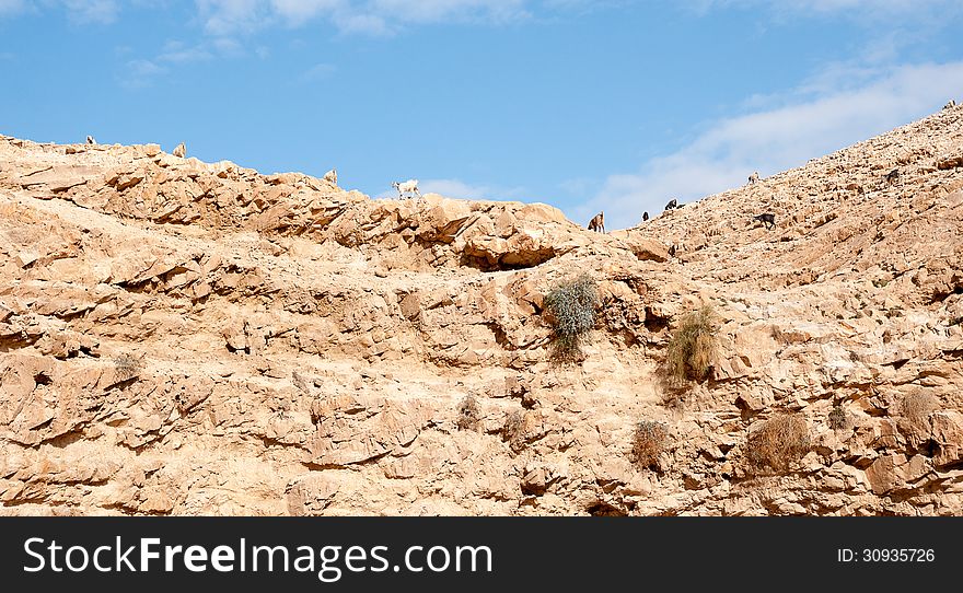 Wadi celt judean desert travel attraction in Israel. Wadi celt judean desert travel attraction in Israel