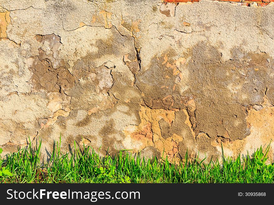 Green grass on a background scratched and cracked wall. Green grass on a background scratched and cracked wall