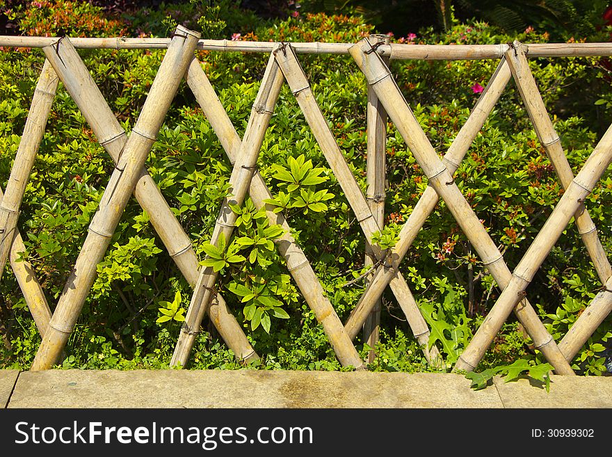 Wooden fence with green plants and some small flowers