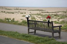 Empty Bench With Flowers On Kent Coast Royalty Free Stock Photos Empty Bench With Flowers On Kent Coast Royalty Free Stock Photos