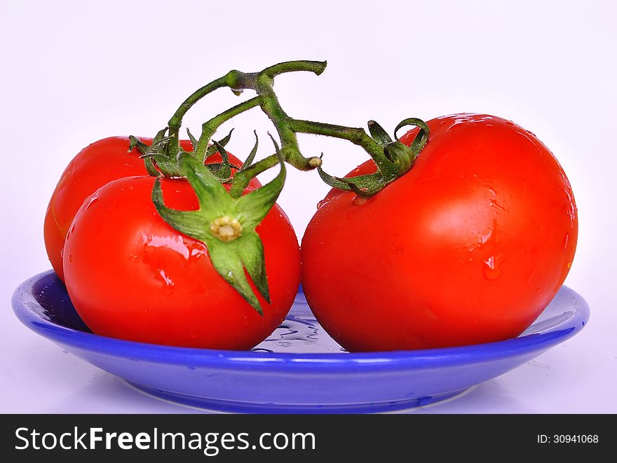 Red tomato on blue and white background