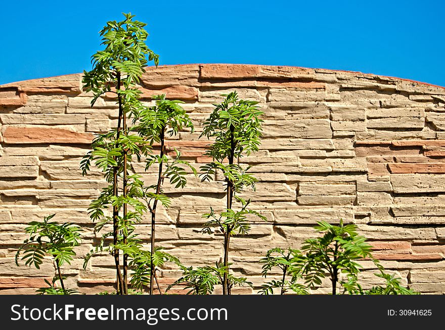 Bricks stone wall background, sky and trees