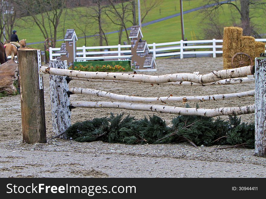 Horse jump consisting of natural birch boughs against a background of other jumps and green lawn. Horse jump consisting of natural birch boughs against a background of other jumps and green lawn.