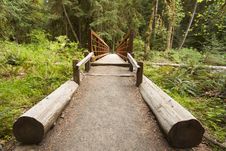 Wide Angle Of Nature Bridge End Near Marymere Falls, Olympic National Park Royalty Free Stock Image