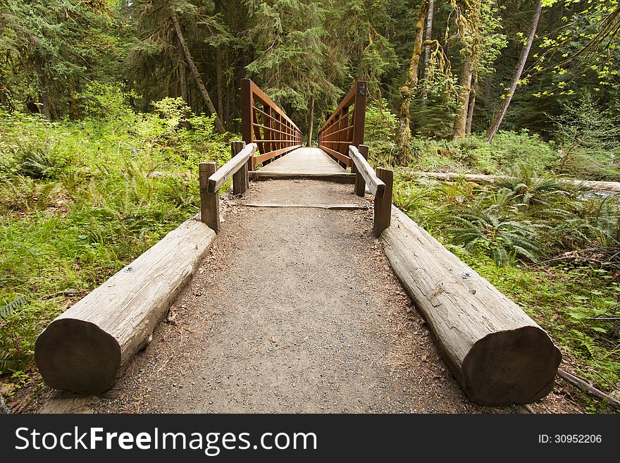 Horizontal wide angle Photo of Nature Bridge over stream near Marymere Falls, Olympic National Park with trees and rocks. Horizontal wide angle Photo of Nature Bridge over stream near Marymere Falls, Olympic National Park with trees and rocks