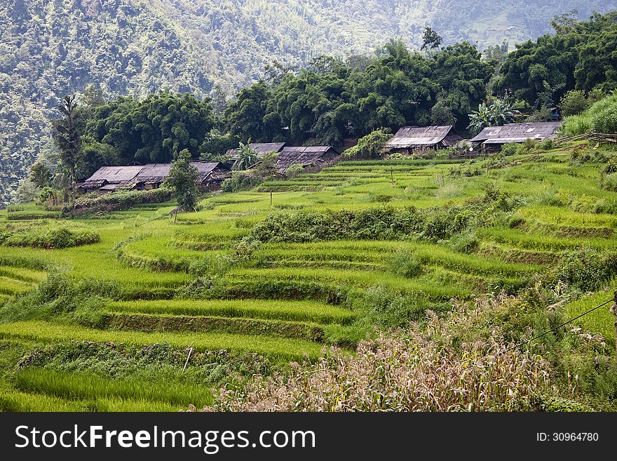 Paddy fields and a village in northern Vietnam