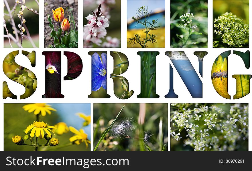 Beautiful collage of spring pictures isolated