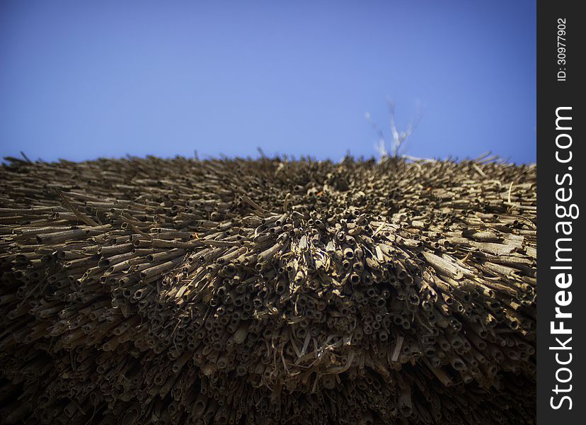 Thatched roof in the blue sky