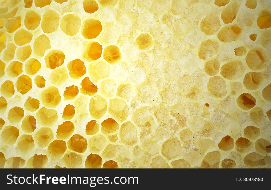 Nature and fresh honeycomb background close up. Nature and fresh honeycomb background close up