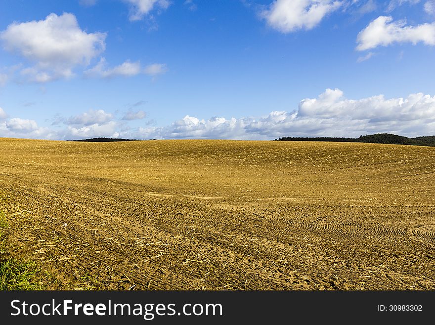 Havest Field With Blue Sky
