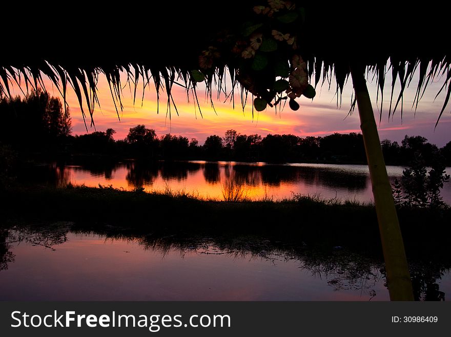 Trees silhouette on sunset Thailand river