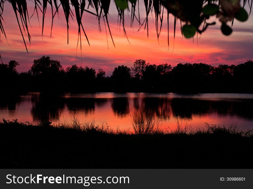 Trees silhouette on sunset Thailand river. Trees silhouette on sunset Thailand river