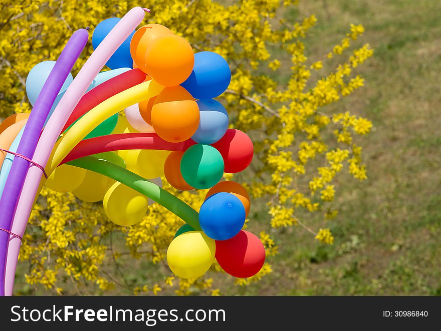 Colorful balls on a background forsythia flowers