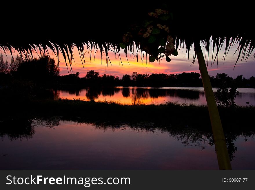 Trees silhouette on sunset Thailand river. Trees silhouette on sunset Thailand river