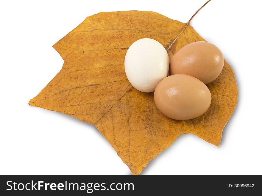 Three eggs on yellow leaf. Three eggs on yellow leaf