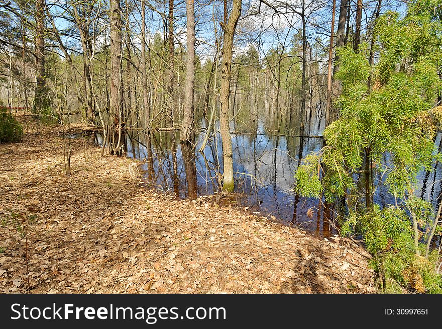 Spring Landscape. River In The National Park.